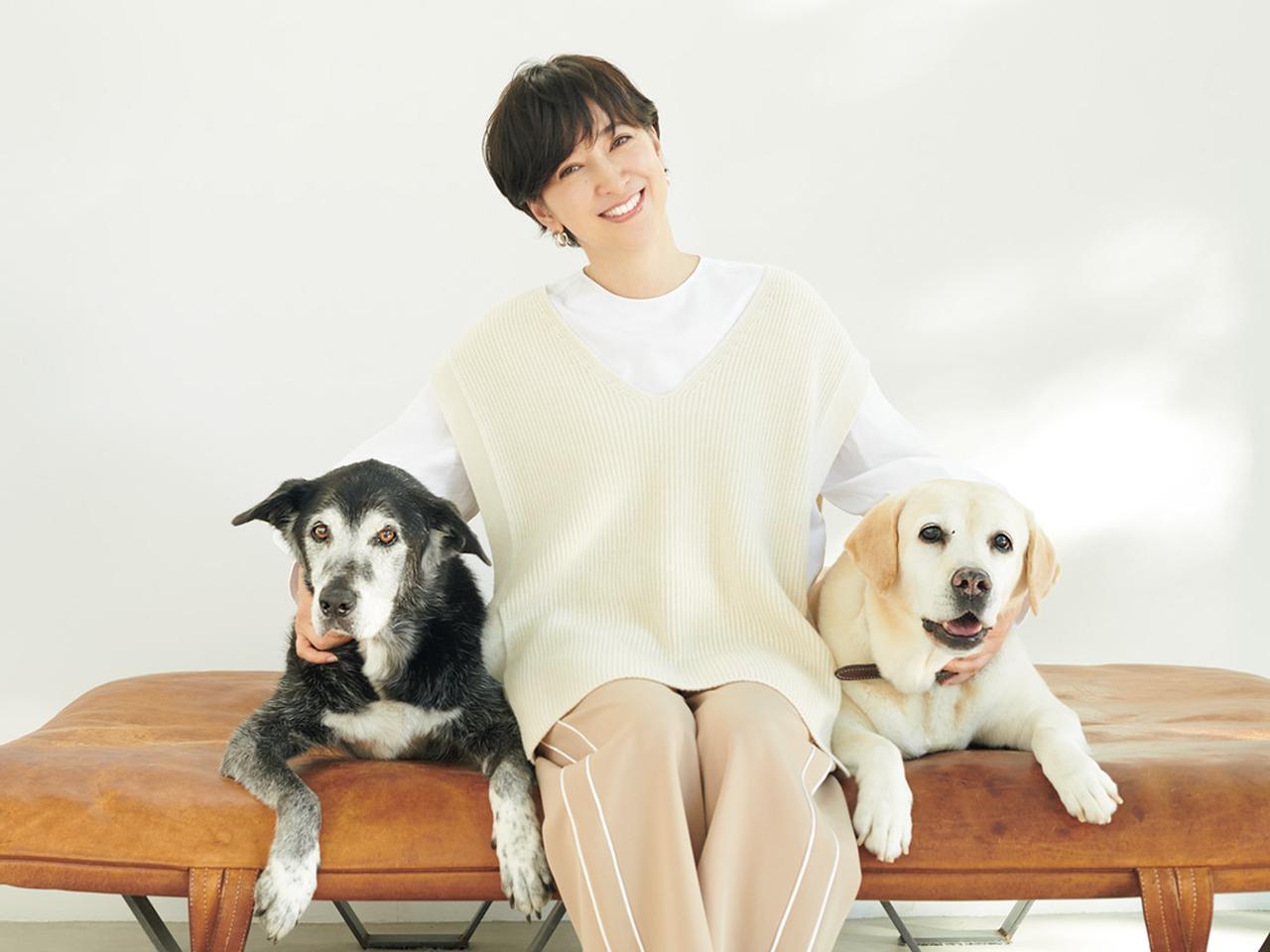 滝川クリステル